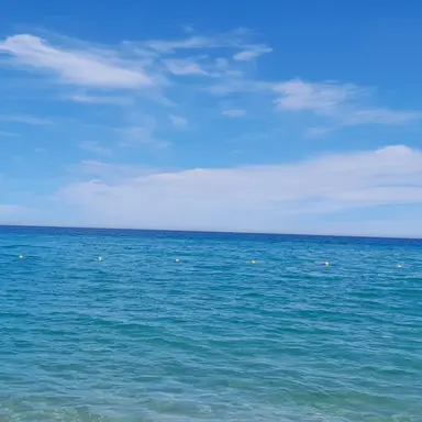 Profile image of 서예지