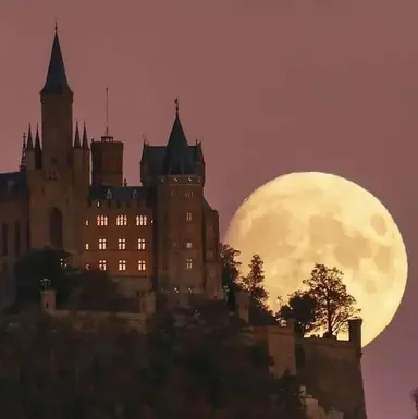 Profile image of Task Force - Castle