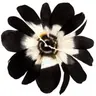 Profile image of 일진황현진