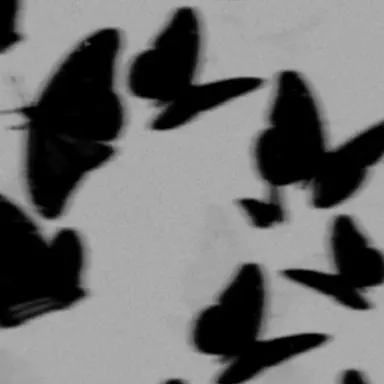 Profile image of 채스터