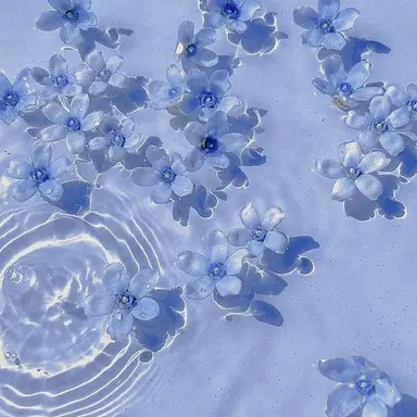 Profile image of 잠뜰