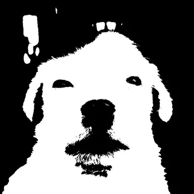 Profile image of 류이청