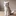 리얼 고양이