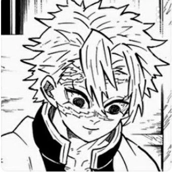 시나즈가와 사네미