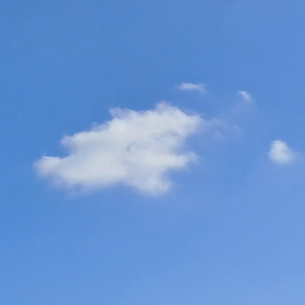 팀나빠 대학교