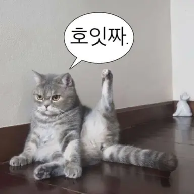 Profile image of 여우