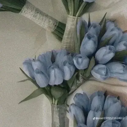미스터리 수사반+여우 대표 이미지