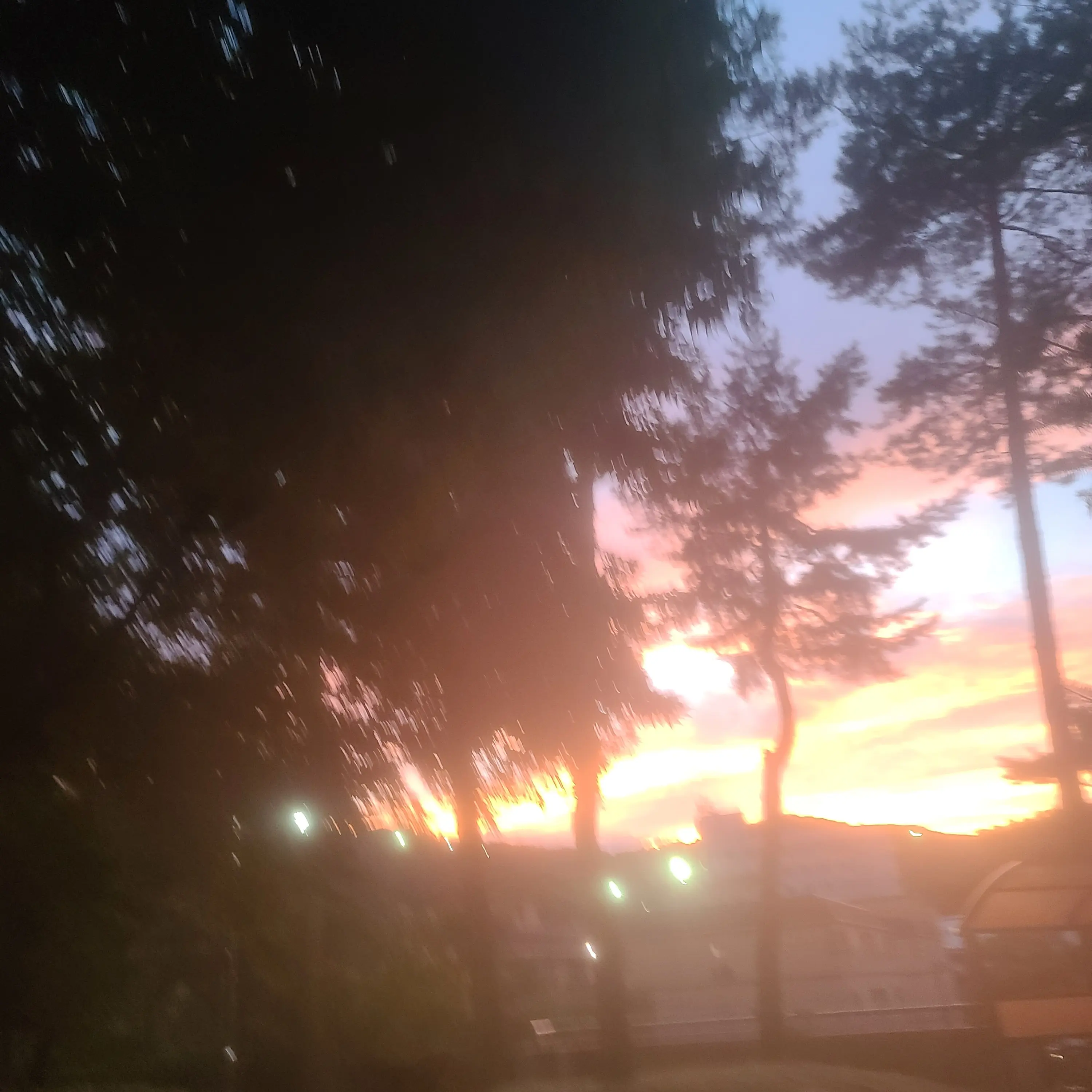 DeepSweat8014의 고고프렌즈+늑대