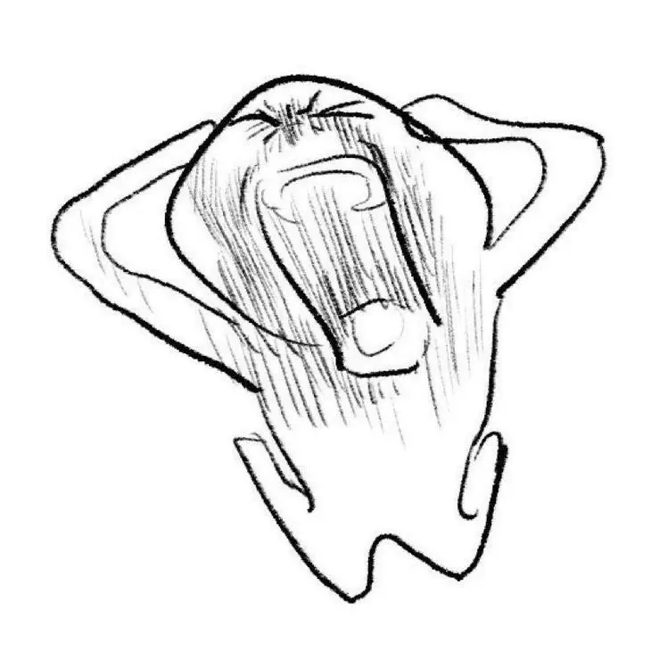 HumaneDaisy4181의 개가 사람됨;;;