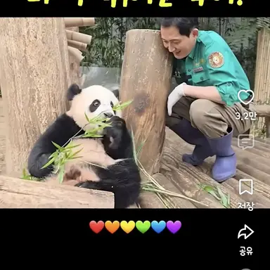 Profile image of 후이바오