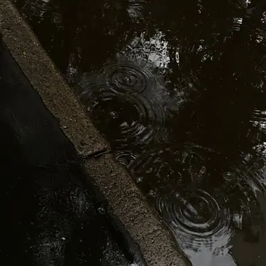 Profile image of 최승철