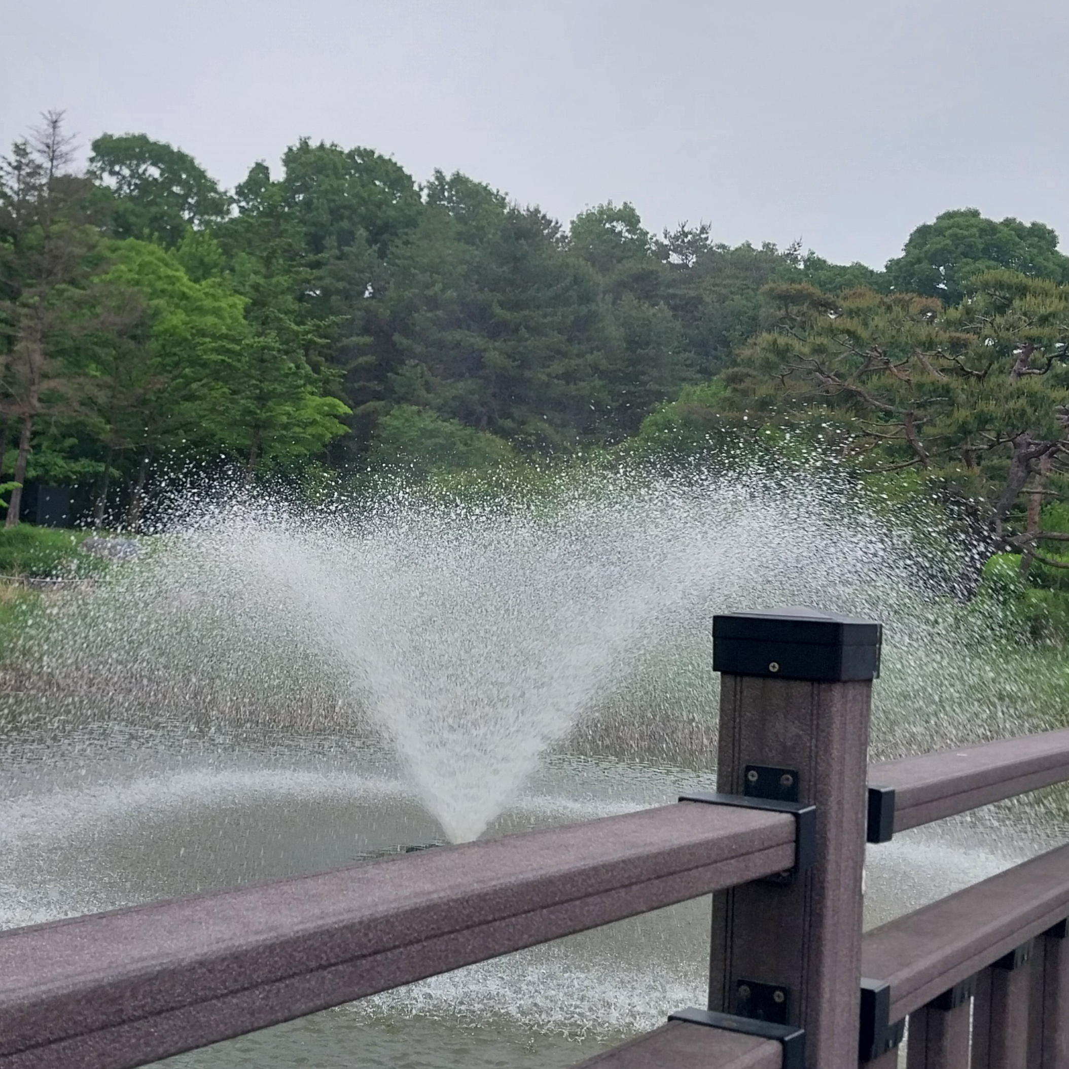 뜰팁초능력학교 여우가전학옴 대표 이미지