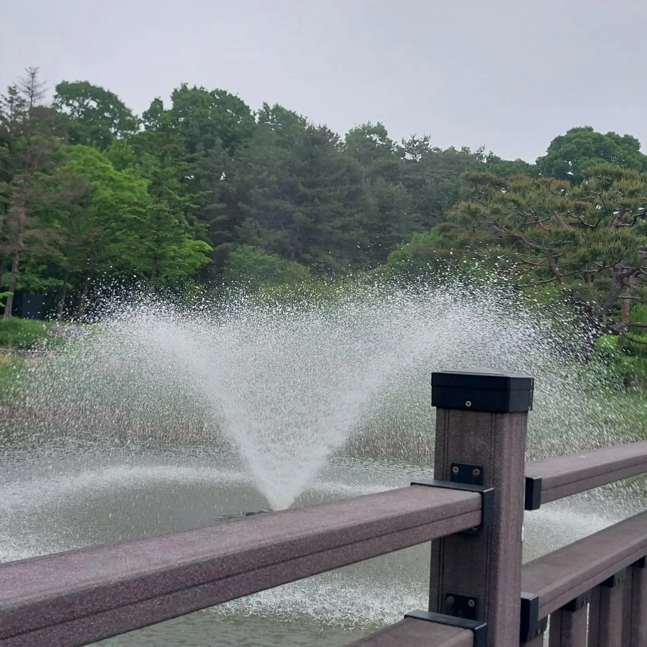 PetiteAidi4877의 뜰팁마법학교 여우가전학옴