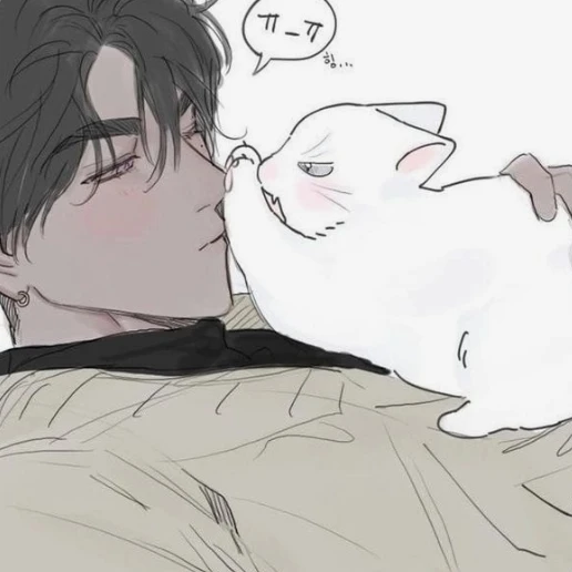 채도혁