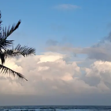 Profile image of 박건