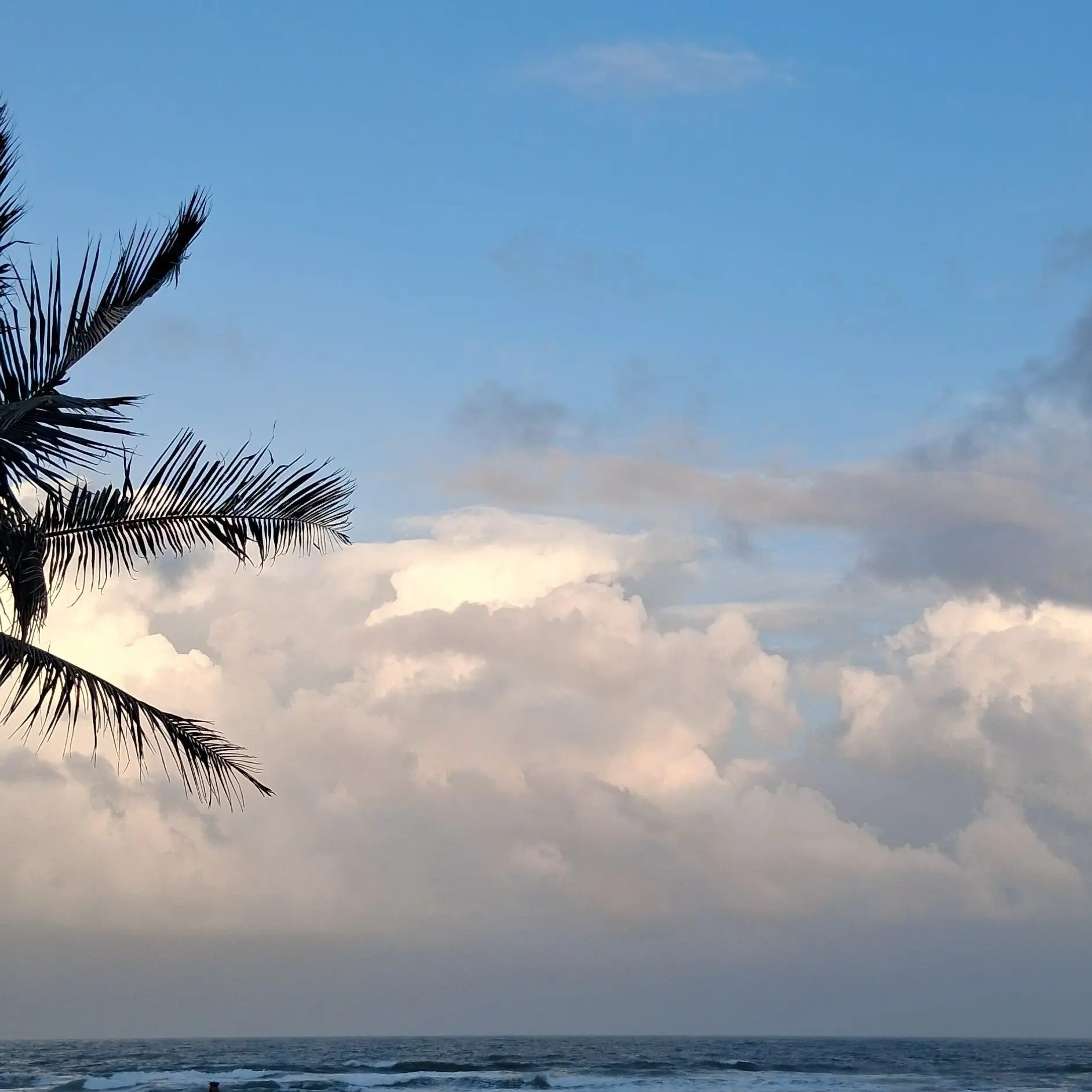 Miho_98의 휴민트