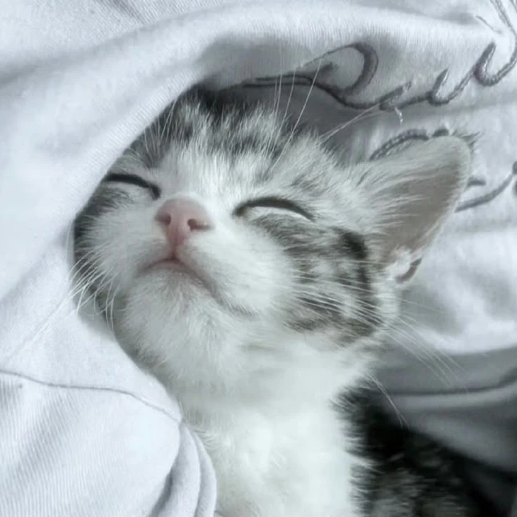 먀오
