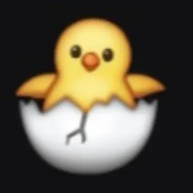 Profile image of 나경