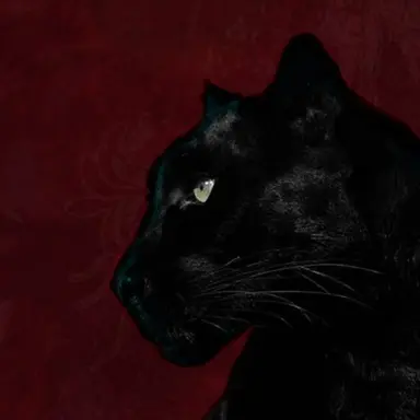 Profile image of 스캇