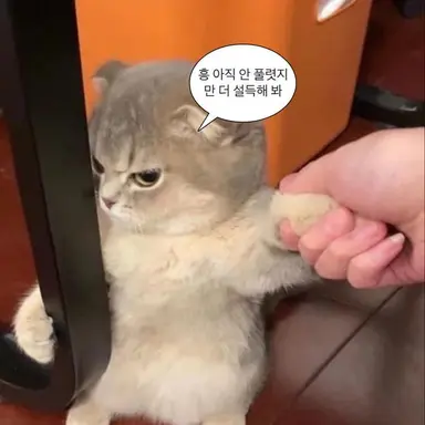 Profile image of 애플망고