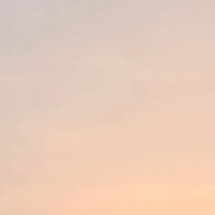 리레볼루션
