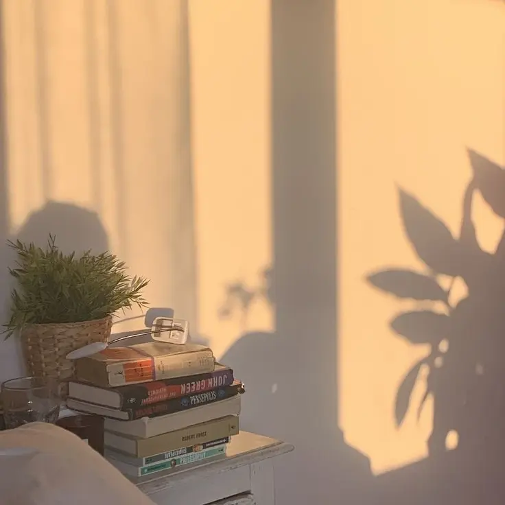 1998_NE의 당신이 만드는 학교