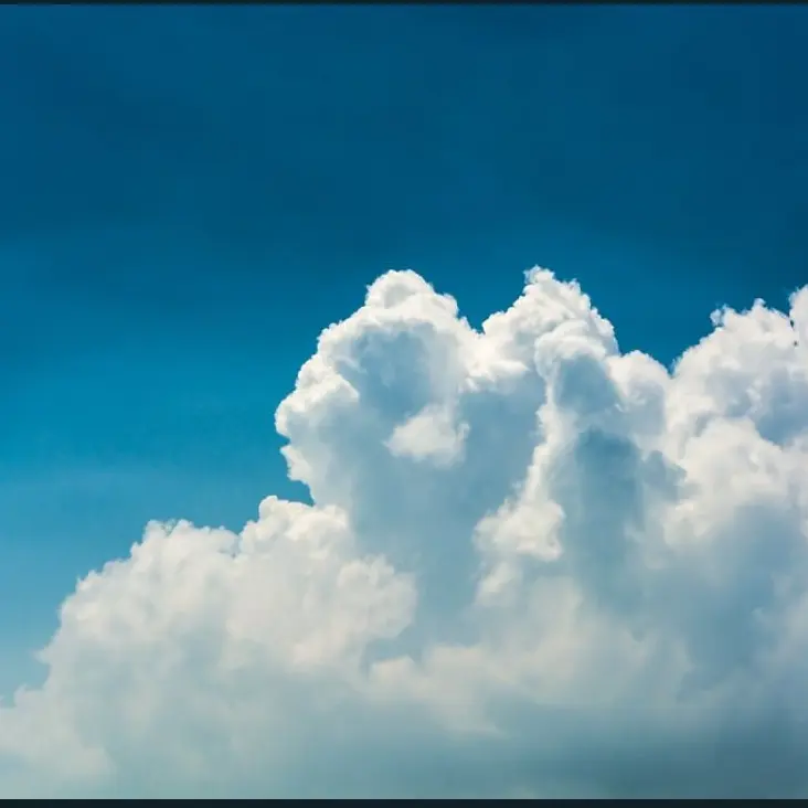 RoughCloth7626의 미션: 아기를 경찰서에 대려다 줘라!