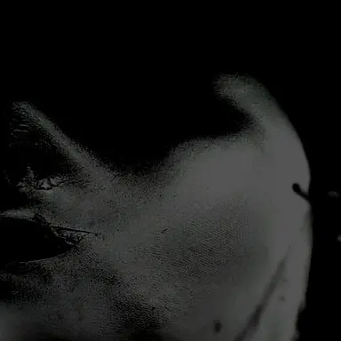 Profile image of 건