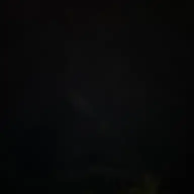 Profile image of 신예찬