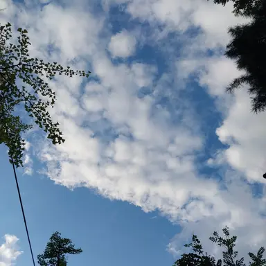 Profile image of 쌤