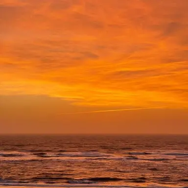 Profile image of 코마