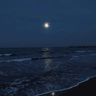 Profile image of 행크