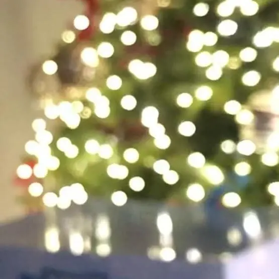 jangno0979의 프나 공연에 당신이 게스트??