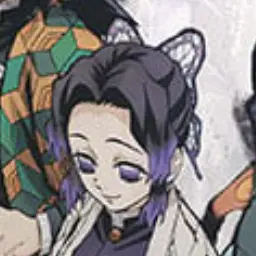 Profile image of 胡蝶しのぶ