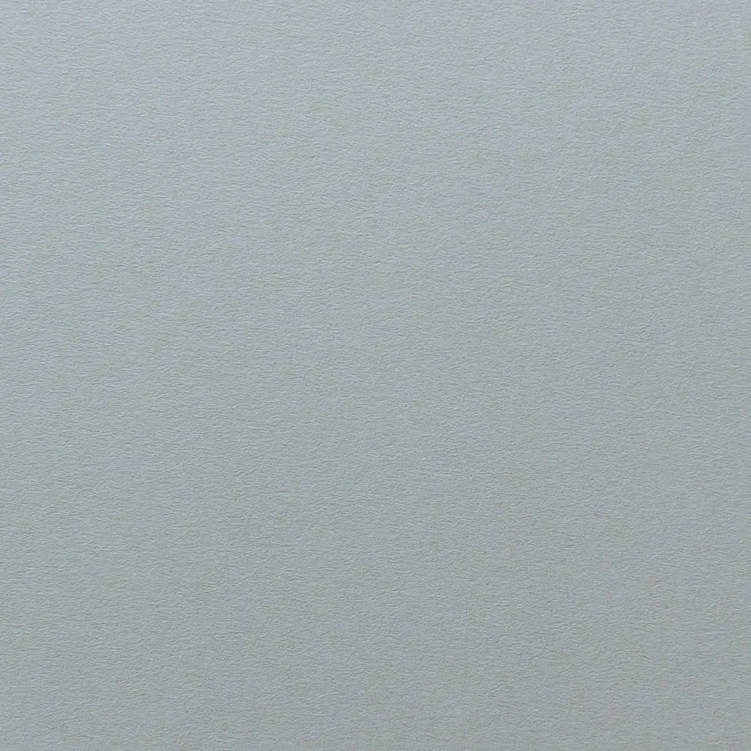 UglyMoon의 SnowManと紅一点