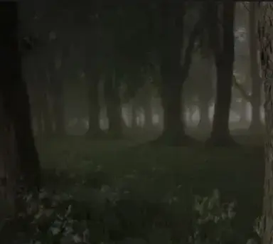 Profile image of Forest