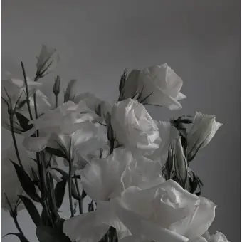 Profile image of 우재