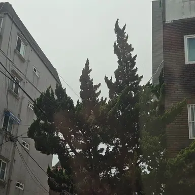 Profile image of 이헌