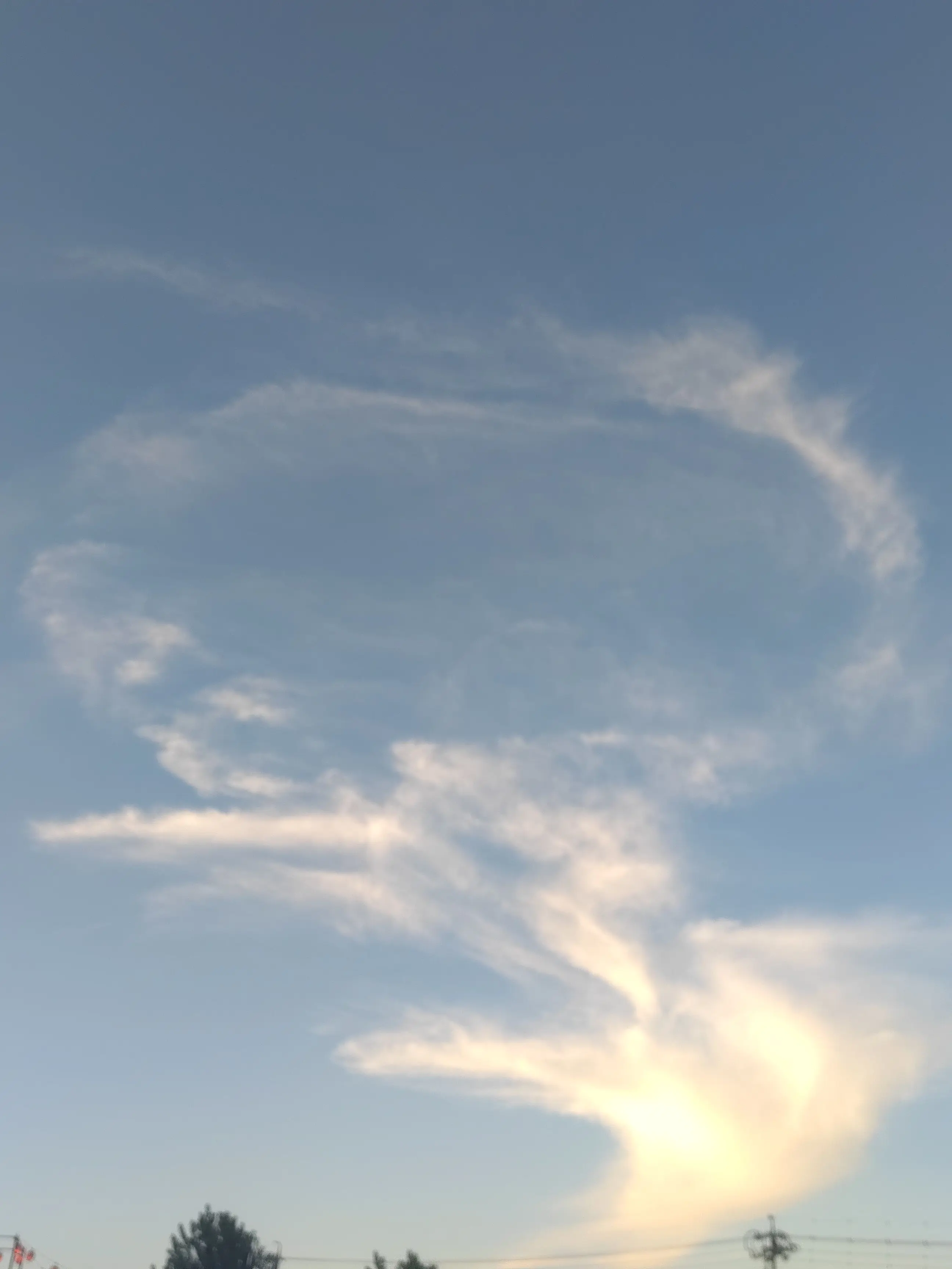 Yippy의 ギャッピーー!!