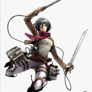 Profile image of 미카사