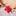 yasu