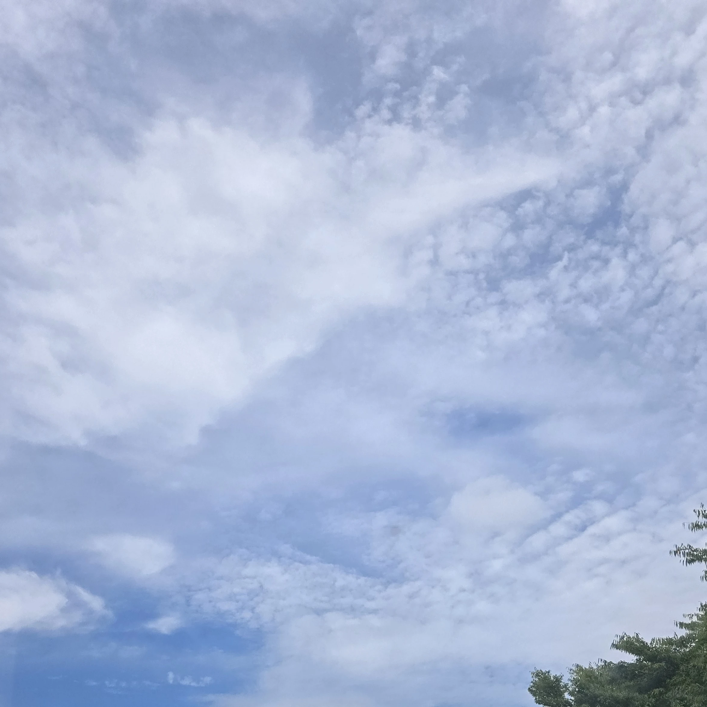 오빈경위