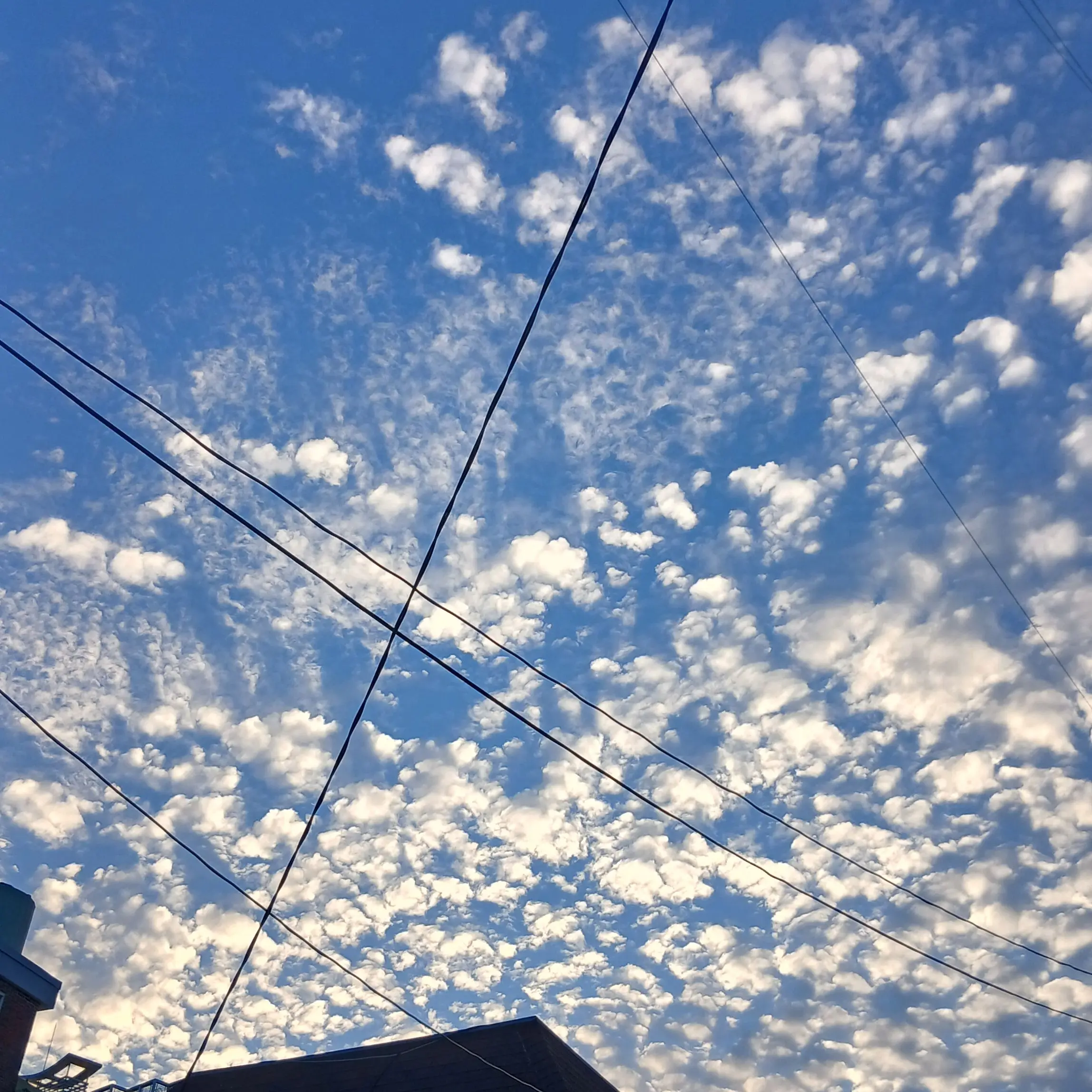 PoorReef7225의 3生と1生が休暇で{{user}}に遭遇