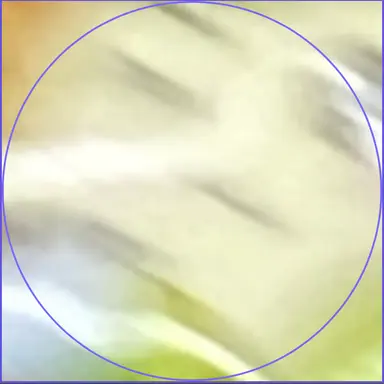 Profile image of 여우