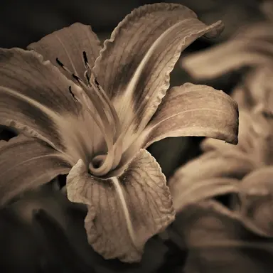 Profile image of 김영호