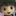 ドSくん🐰