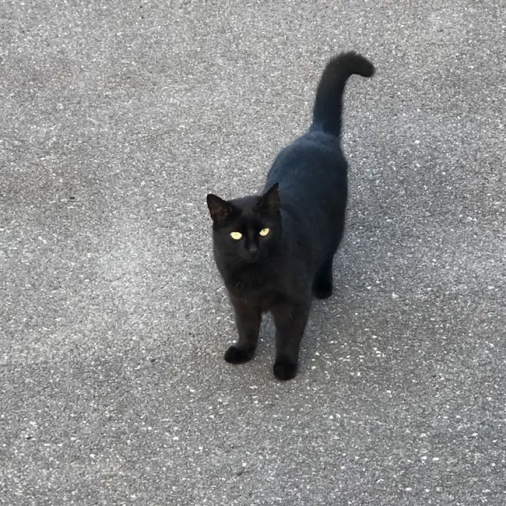 StoutFocus1956의 私しか知らない尾形くんの体のホクロ