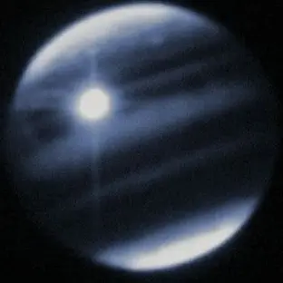 Profile image of 永瀬廉