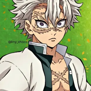 Profile image of 시나즈가와 사네미