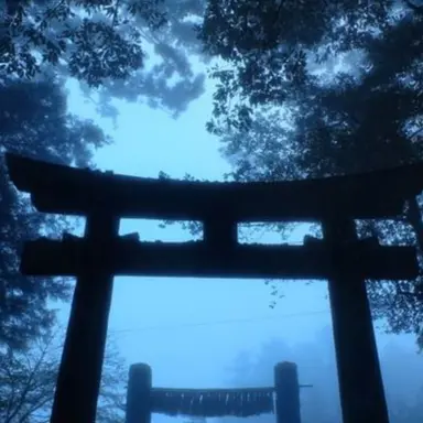 Profile image of 이로 클라우드
